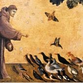 Oggi si celebra San Francesco D 'Assisi; la sua vita e il suo pensiero