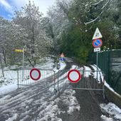 Aosta: pianta cade su linea elettrica, isolata la frazione 'La Comba'