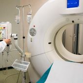 Gatta curata in ospedale, Usl avvia urgente riorganizzazione in Radiologia Gatta curata in ospedale, Usl avvia urgente riorganizzazione in Radiologia