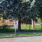 Aosta, taglio dei pioppi per la riqualificazione della pista di atletica al Tesolin
