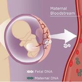 Sì al test del DNA fetale gratuito alle valdostane in stato di gravidanza