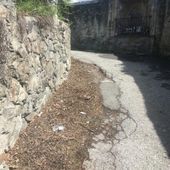 'Via Francigena? Ad Aosta è dissestata e piena d'immondizie...'