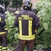 Raffiche di vento su Aosta; alberi caduti, coperture divelte e un'auto danneggiata Raffiche di vento su Aosta; alberi caduti, coperture divelte e un'auto danneggiata