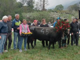 Euforie bosquet di terzo peso