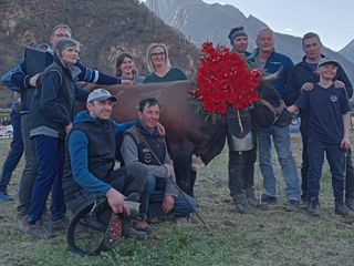 Altesse, regina di seconda categoria