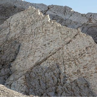 La prima immagine inviata alla Soprintendenza competente da Elio Della Ferrera, scopritore del nuovo sito paleontologico. Scattata il 14 settembre scorso, inquadra il cosiddetto “strato 0”, che affiora sulle pareti alte delle Cime di Plator. Solo qui si contano circa duemila orme fossili, in gran parte riferibili a dinosauri prosauropodi. Foto di Elio Della Ferrera, Arch. PaleoStelvio (PNS, MSNM, SABAP CO-LC).Fonte https://www.finestresullarte.info/archeologia/triassic-park-allo-stelvio-migliaia-di-orme-di-dinosauri-emergono-sulle-alpi