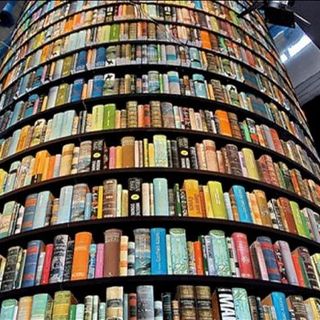 TikTok Book Awards 2025; i vincitori che hanno conquistato il Salone del Libro di Torino