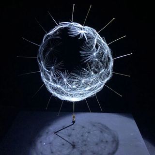 'Watage', 2017- Euglena