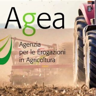 In arrivo quasi 1,6 milioni di euro per 272 aziende agricole valdostane