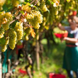 Istituzioni e agricoltori si confrontano su presente e futuro dell’agricoltura in montagna