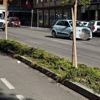 Aosta, in Consiglio comunale confronto sulla gestione delle aiuole cittadine