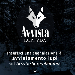 E' nata l'app 'Avvista Lupi VdA' per segnalarne la presenza