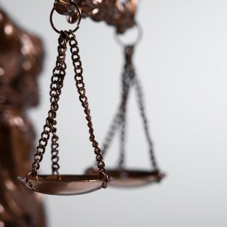 Gli animali diventano 'soggetti di diritto'