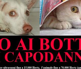 Aosta, vietati i botti di Capodanno pericolosi per tutti, persone e animali
