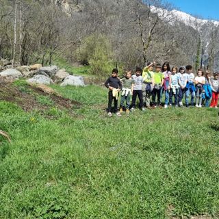 Liberato dal 'Centro recupero animali selvatici' un capriolo a Issime