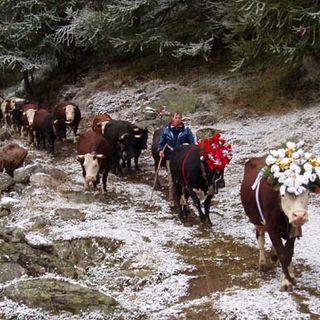 Valtournenche è pronta ad accogliere la grande festa della Desarpa