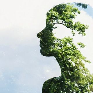 'È tempo dell’Ecocene', appello per un cambio di passo economico ed ecologico