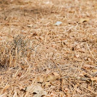 Crisi idrica, la Valle resta in affanno; perso il 20% della disponibilità d'acqua