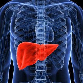 Trapianto di fegato pediatrico e adulto, novità e futuro in un convegno ad Aosta