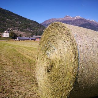 Ricerca e Innovazione, parole d'ordine dell'Institut Agricole Régional
