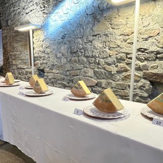 Selezionati i dieci finalisti del concorso Modon d'Or