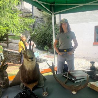 Corpo forestale, in Consiglio Valle la riforma da 85 articoli