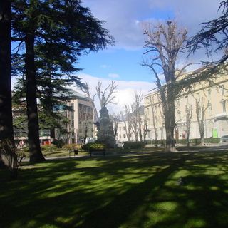 Aosta, oggi abbattimento urgente di due alberi a rischio caduta