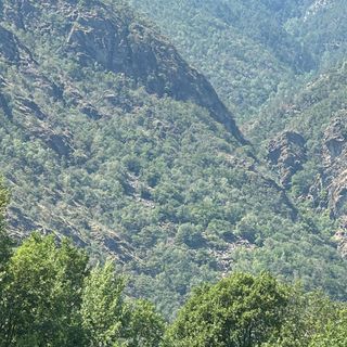 Domato l'incendio boschivo sopra Montjovet