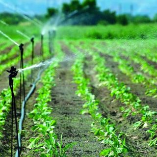 Sarre, razionata l'acqua per l'irrigazione