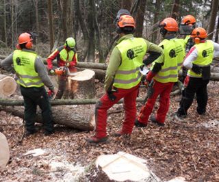 Al via la formazione di nuovi istruttori forestali in Valle d'Aosta
