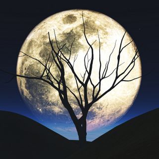 Immagine di kjpargeter su Freepik