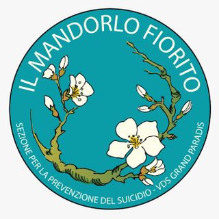Barriere anti suicidio al ponte di Introd, 'scelta necessaria, non rinviabile'