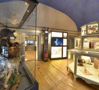 Quasi 100 mila visitatori in tre anni al Museo di scienze naturali 'Efisio Noussan'