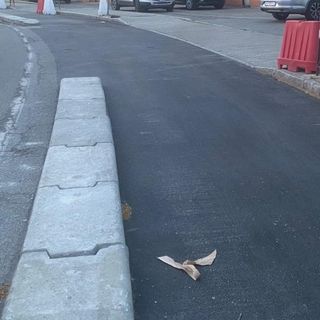 Aosta, proseguono i lavori alla ciclabile ma si tagliano altri tre alberi