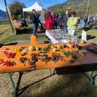 Nus, torna ‘An pomma pe an sei’, settima edizione dello scambio semi e mercato contadino