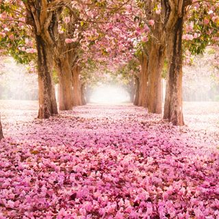 E' tornata primavera, siamo pronti al risveglio?