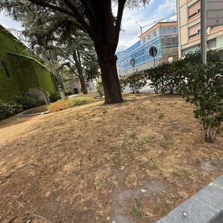 Aosta, il verde pubblico boccheggia: erba secca nei prati e aiuole abbandonate