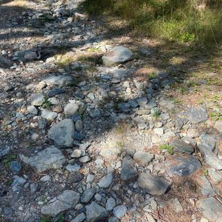 Associazione paraplegici valdostani, 'belle promesse ma il sentiero per disabili di Chevrère a Champdepraz è ancora inagibile'