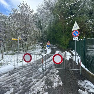 Aosta: pianta cade su linea elettrica, isolata la frazione 'La Comba'