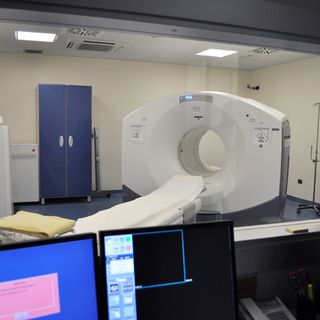 Tac e intervento in ospedale alla gatta, i primi accertamenti sconfessano il medico