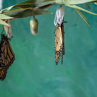 La Pasqua; speranza e rinnovamento oltre la ciclicità del tempo