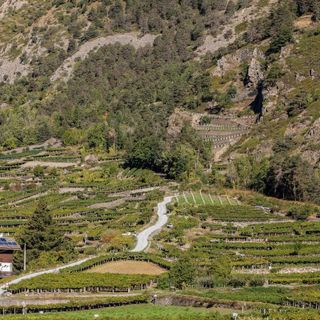 Cervim, 'con Comune di Aosta collaborazione su eventi enologici'