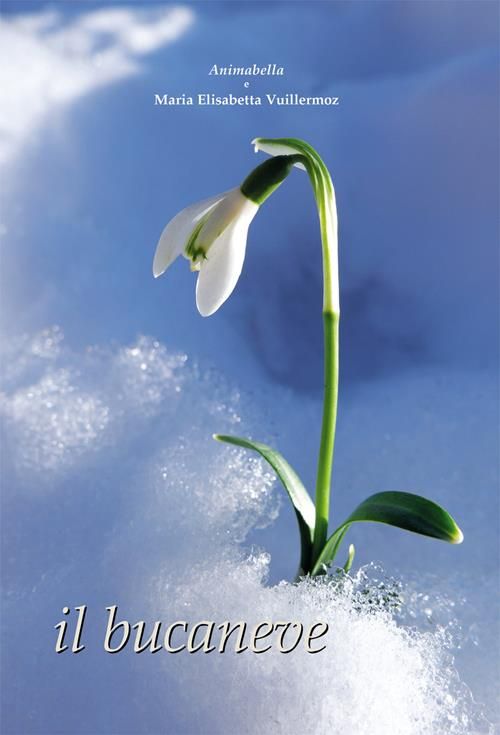 Mercoledi 3 maggio alla libreria A' La Page presentazione del libro 'Il bucaneve'