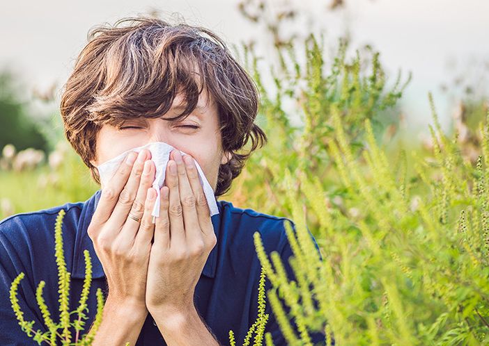 Affrontare le allergie con il Th2 e i probiotici