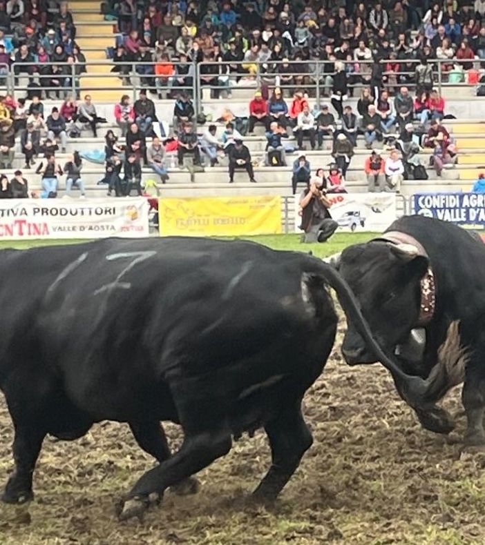 Suisse mette in fuga un'avversaria