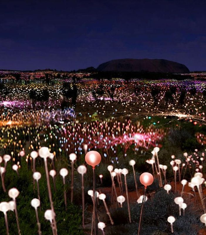 'Field of Light', Bruce Munro (1959)