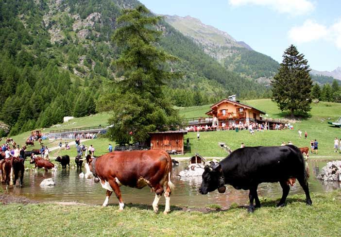 Incontro a Roma con i vertici di Agea sui sostegni all'agricoltura valdostana