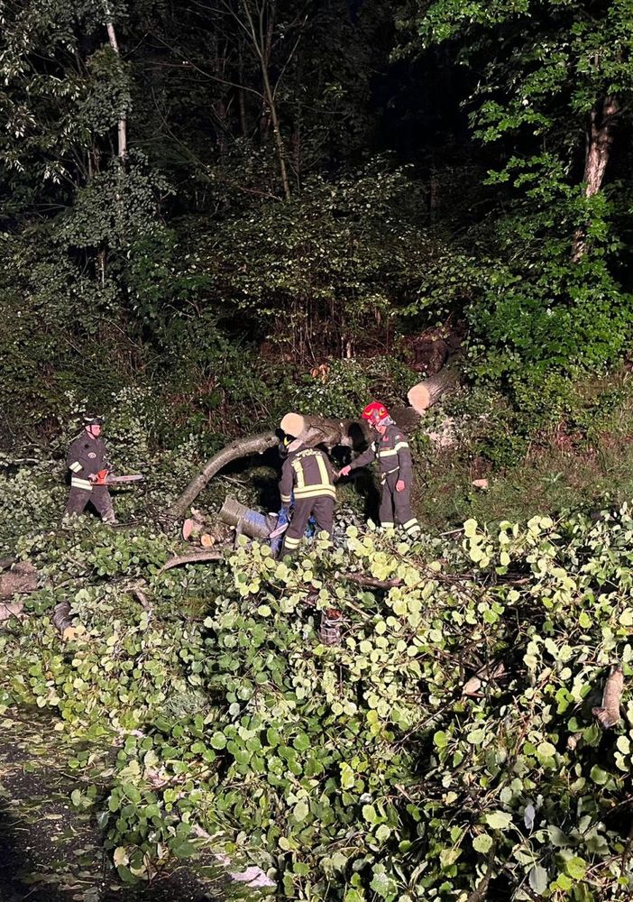 Brusson, albero caduto sulla strada regionale