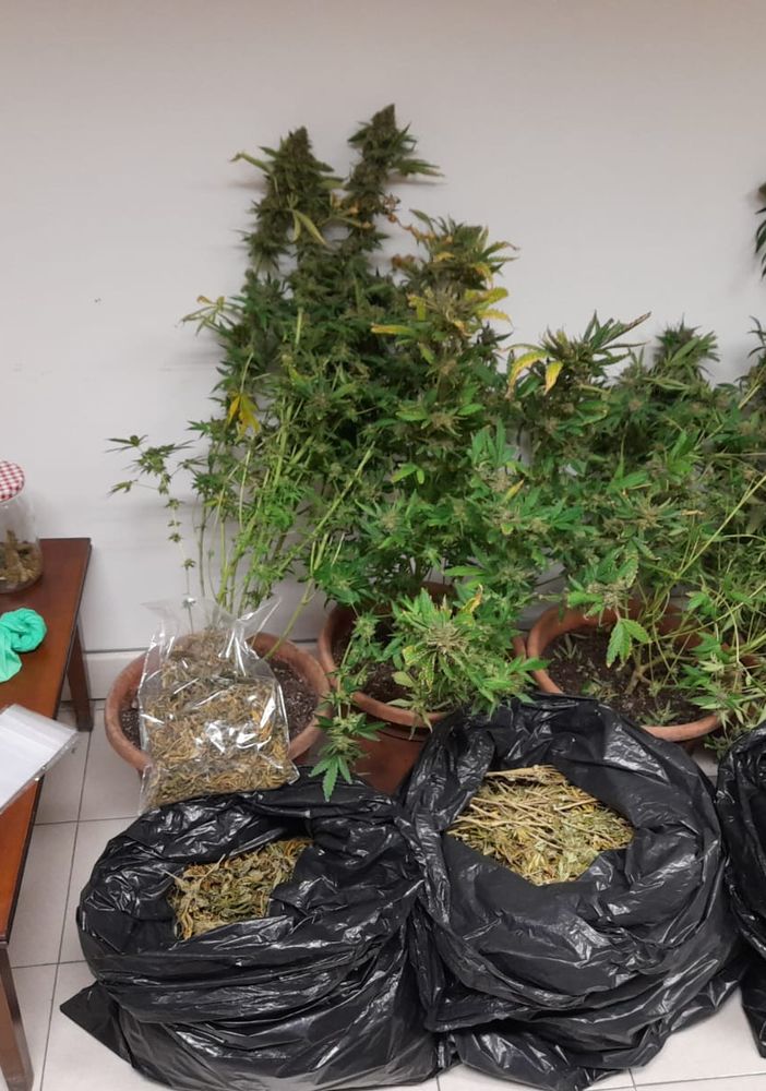 In casa avevano oltre cinque chili e mezzo di marijuana; coppia aostana agli arresti