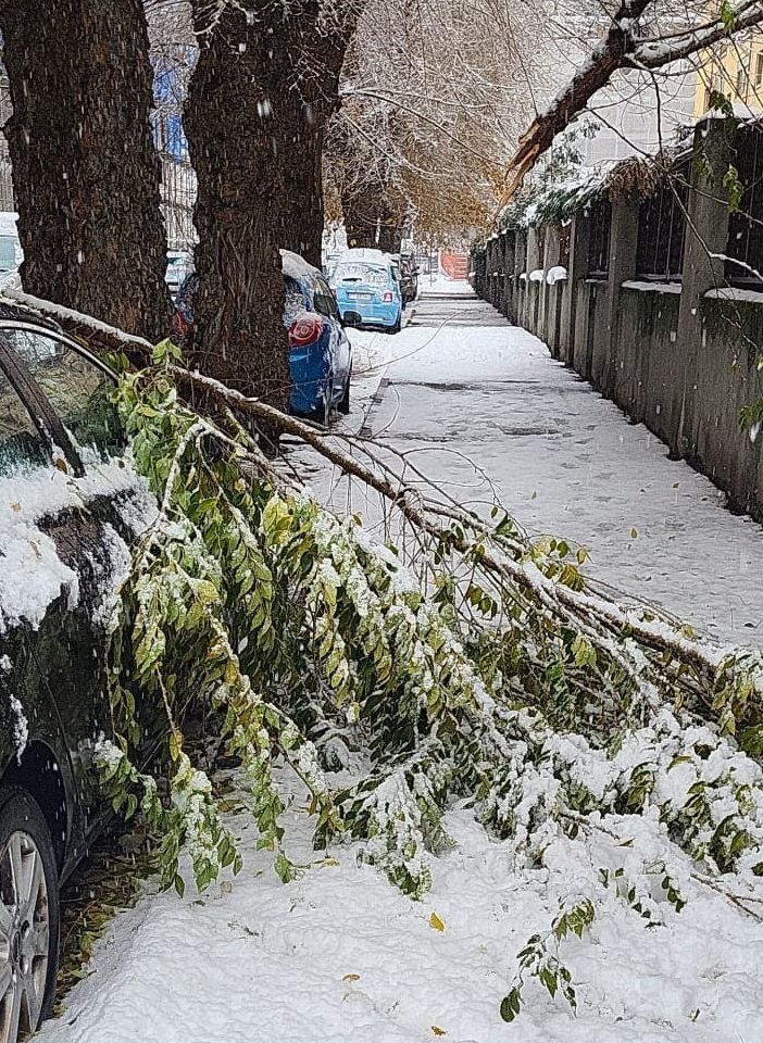 Aosta, attenzione ai grossi rami rotti dal peso della neve